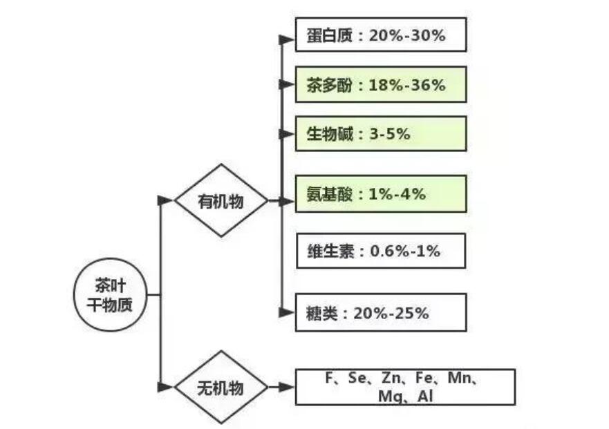 茶葉成份.jpg